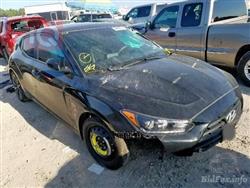 هيونداي فلوستر